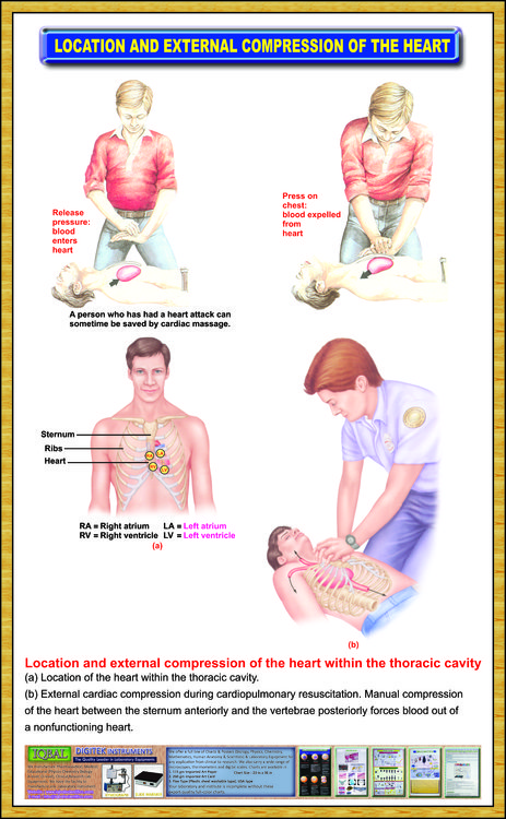 Location-and-External-Compression-of-the-Heart – Iqbal Scientific Store